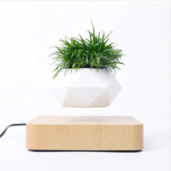 Plant Pot Home Desk Decor