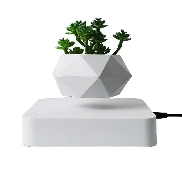 Plant Pot Home Desk Decor