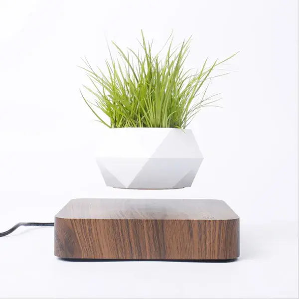 Plant Pot Home Desk Decor