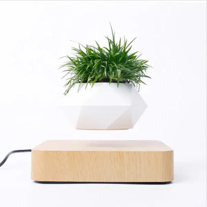 Plant Pot Home Desk Decor