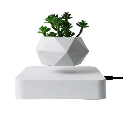 Plant Pot Home Desk Decor